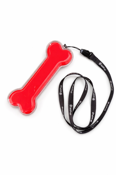 Bone Capsule with Lanyard- Hard Plastic Cover and Carrying Case