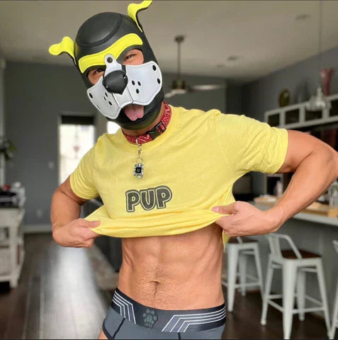 Finding Pup Events: Where the Pack Is Gathering