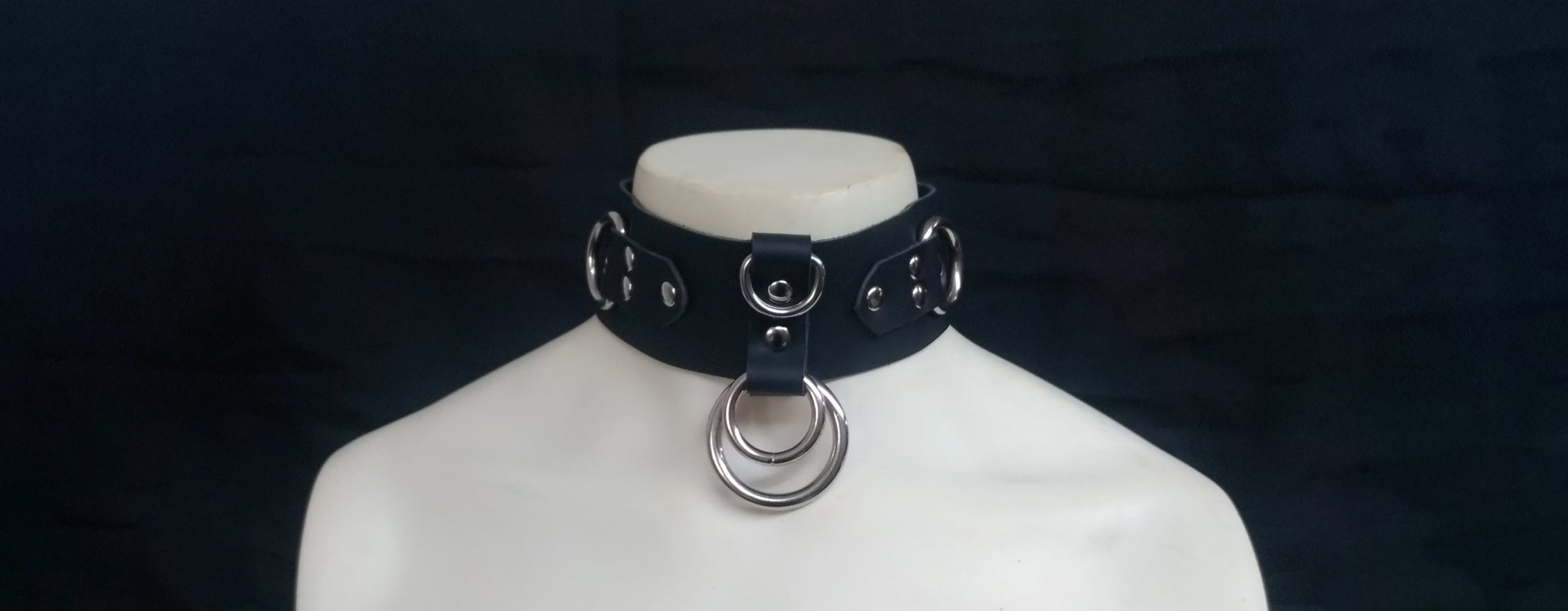 Puppy Play 101:  A Deep Dive Into Human-Puppy Collars - JetPup