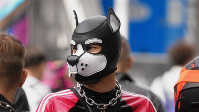 Organizing Pup Events: How to Get Your Gathering Found (and Filled)