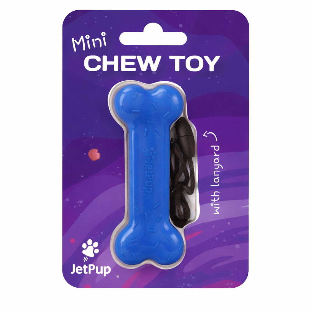 Mini Chew Toy Bone with Lanyard - Blue